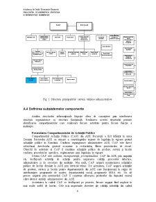Analiza Informațional - Decizională a unei Proceduri de Achiziție în Academia de Studii Economice București - Pagina 4