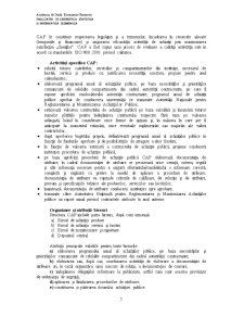 Analiza Informațional - Decizională a unei Proceduri de Achiziție în Academia de Studii Economice București - Pagina 5