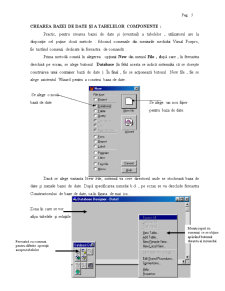 Visual FoxPro - Curs 1 - Pagina 5
