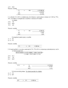 Monografie contabilă - contabilitate fiscală - Pagina 3