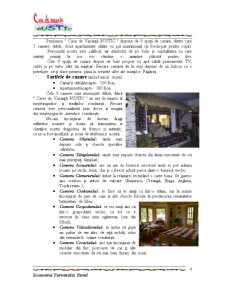 Proiect turistic - Casa de Vacanță Rustic - Pagina 4