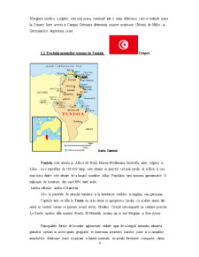 Geografia așezărilor - analiză comparativă privind așezările umane - Germania-Tunisia - Pagina 4