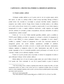 PROTECȚIA JURIDICĂ A MEDIULUI ARTIFICIAL - Pagina 3