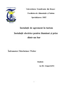 Instalații Electrice pentru Iluminat și Prize dintr-un Bar - Pagina 1