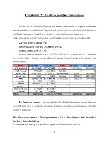 Analiza financiară a SC Antibiotice SA Iași - Pagina 4