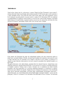 Politica comercială a Indoneziei - Pagina 2
