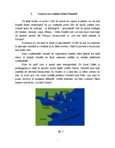 Proiect Geografie - Delta Dunării - Pagina 1