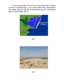Proiect Geografie - Delta Dunării - Pagina 2