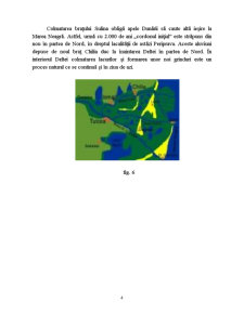 Proiect Geografie - Delta Dunării - Pagina 4