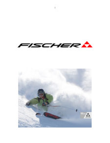 Plan de marketing - firma Fischer - Pagina 1