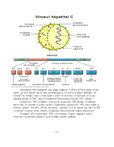Hepatita C - Pagina 4