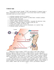 Hepatita C - Pagina 5