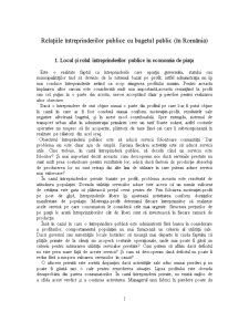 Relațiile întreprinderilor publice cu bugetul de stat în România - Pagina 3