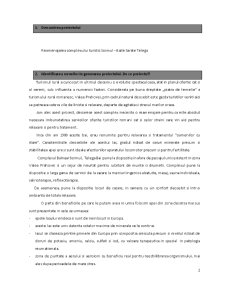 Reamenajarea complexului turistic Șoimul - Băile Sărate Telega - Pagina 2