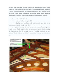 Analiza comparativă a instrumentelor muzicale - Pagina 4
