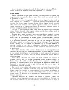 Analiza activității SC Transilana SA - Pagina 5