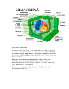 Celula Vegetală - Pagina 2