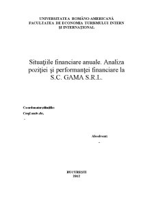 Situațiile financiare anuale - analiza poziției și performanței financiare la SC Gama SRL - Pagina 2