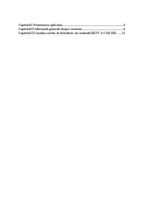 Aplicație privind analiza lichidității la SC Rent a Car SRL - Pagina 2