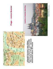 Geografia așezărilor urbane - urbanizarea globului în spațiu și timp - Pagina 4