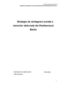 Strategia de reintegrare socială a minorilor delicvenți din Penitenciarul Bacău - Pagina 1