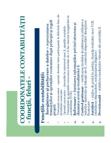 Contabilitate - Pagina 16