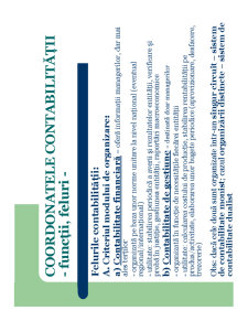 Contabilitate - Pagina 17