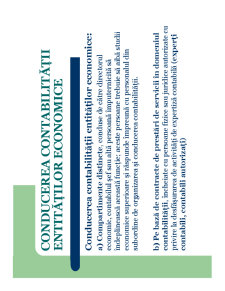 Contabilitate - Pagina 21