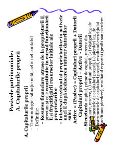 Contabilitate - Pagina 84