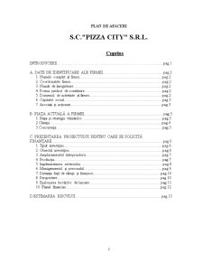 Plan de Afaceri SC Pizza City SRL - Pagina 2