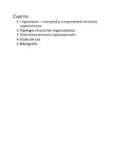 Elemente ale funcției de organizare - Pagina 2