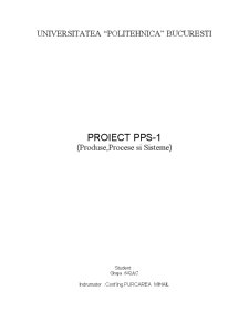 Produse Procese și Sisteme - Pagina 2
