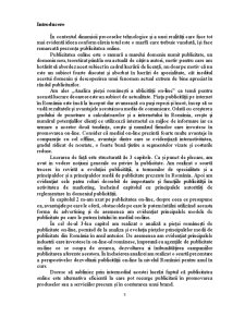 Analiza Pieței Românești a Publicității On-line - Pagina 3