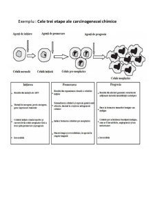 Mutageneză și inginerie genetică - Pagina 3