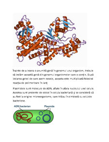 Mutageneză și inginerie genetică - Pagina 5