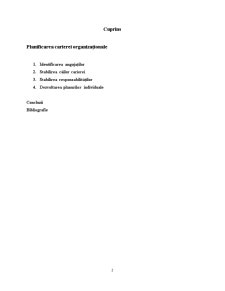 Planificarea Carierei Organizaționale - Pagina 2