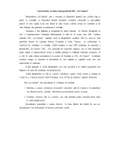 Proiect privind activitatea concurențială a SC Iri-Carmen SRL - Pagina 2