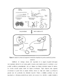 Ingineria Metabolică la Drojdii - Pagina 5
