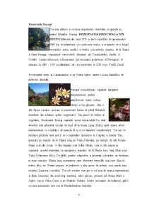 Stațiunea montană Sinaia - Pagina 4