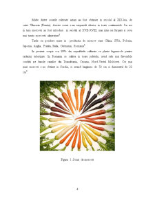 Sucul de morcovi - Pagina 4