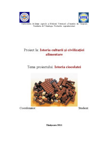 Istoria Ciocolatei - Pagina 1