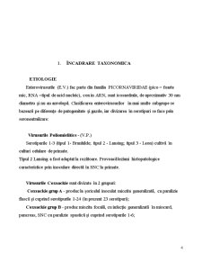 Tehnici de biologie moleculară în analiza și epidemiologia enterovirusurilor - Pagina 4