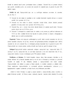 Criptopodzolul - Pagina 3