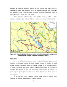 Contribuții la cunoaștere avifaunei de pe acumulările Jijioarei - Pagina 5