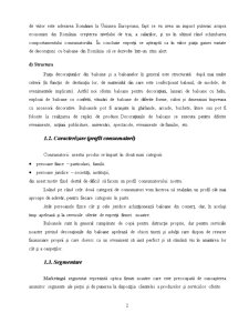 Importul și distribuția de baloane din latex - SC Future SA - Pagina 3