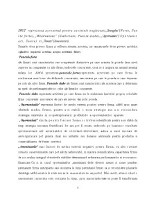 Analiza Swot - SC Bere Craiova SA - Pagina 5