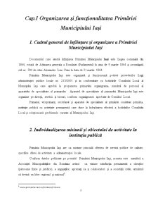 Studiu Aplicativ Privind Eficientizarea Activității Primăriei Municipiului Iași - Pagina 3