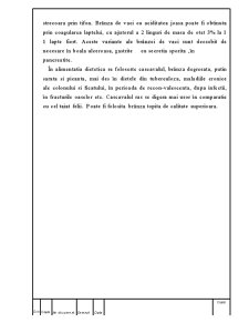 Calculul Separatorului - Pagina 3