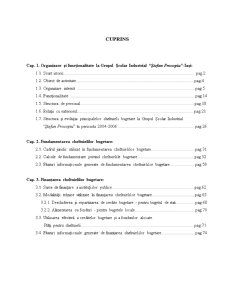 Fundamentarea și finanțarea cheltuielilor bugetare la Grupul Școlar Industrial Stefan Procopiu - Pagina 1