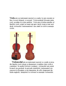 Orchestra simfonică - Pagina 2
